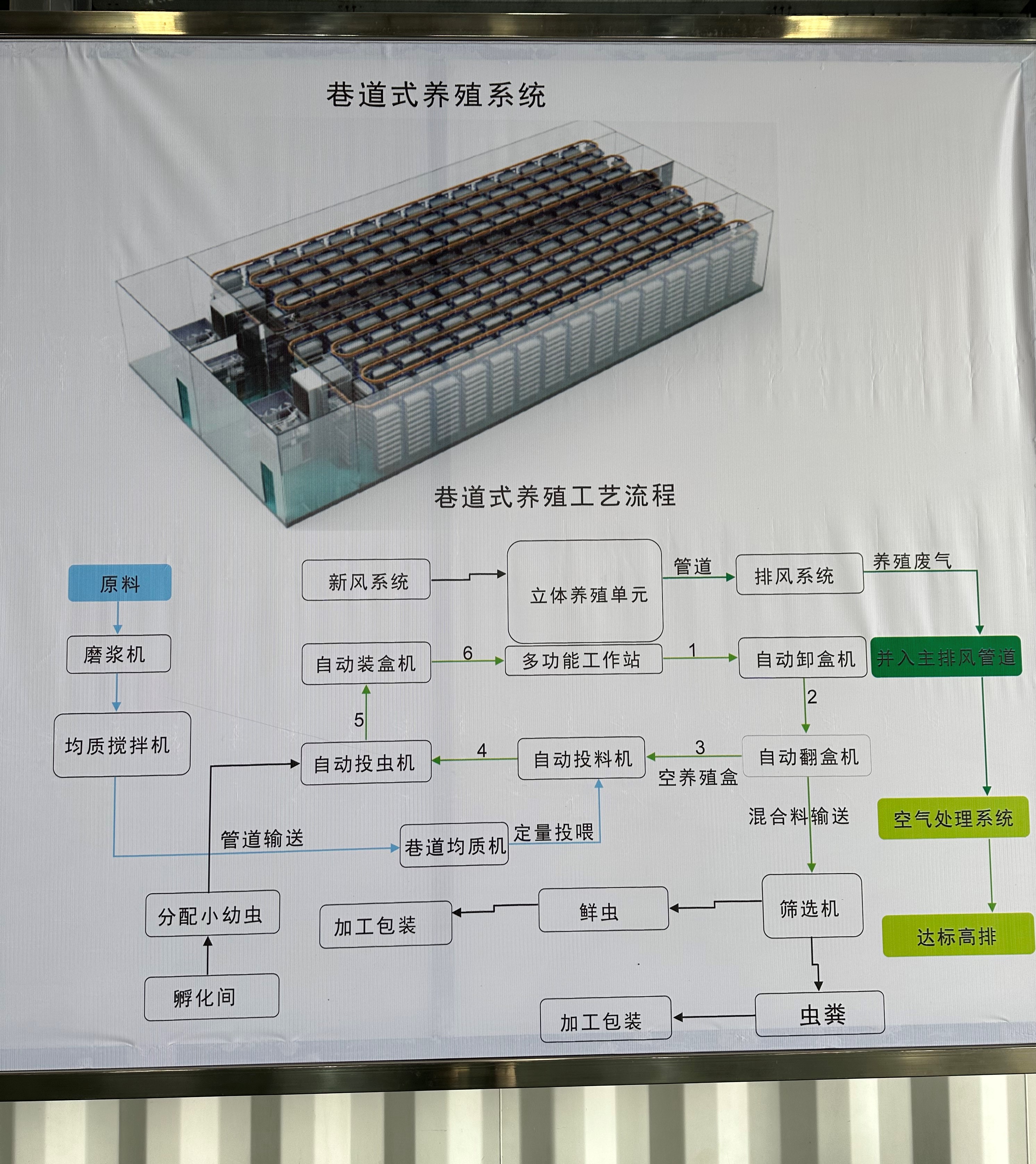 黑水虻處理餐廚垃圾的方法和優(yōu)勢是什么？